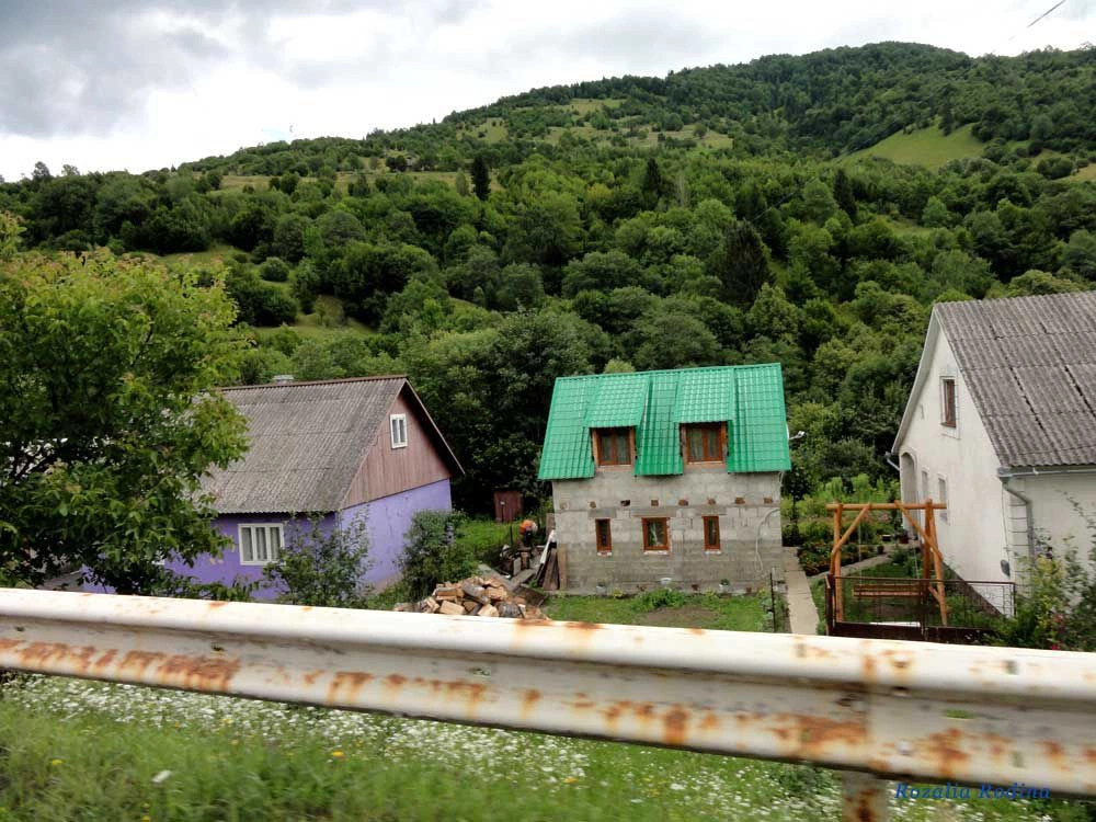 Квасы
