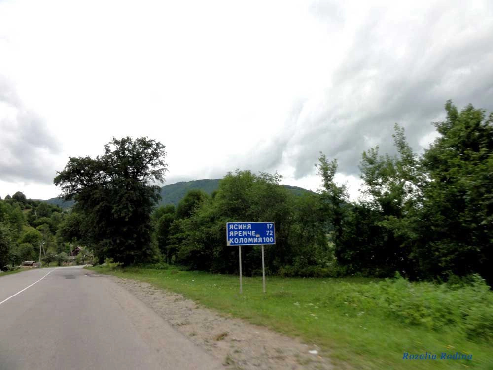 Квасы