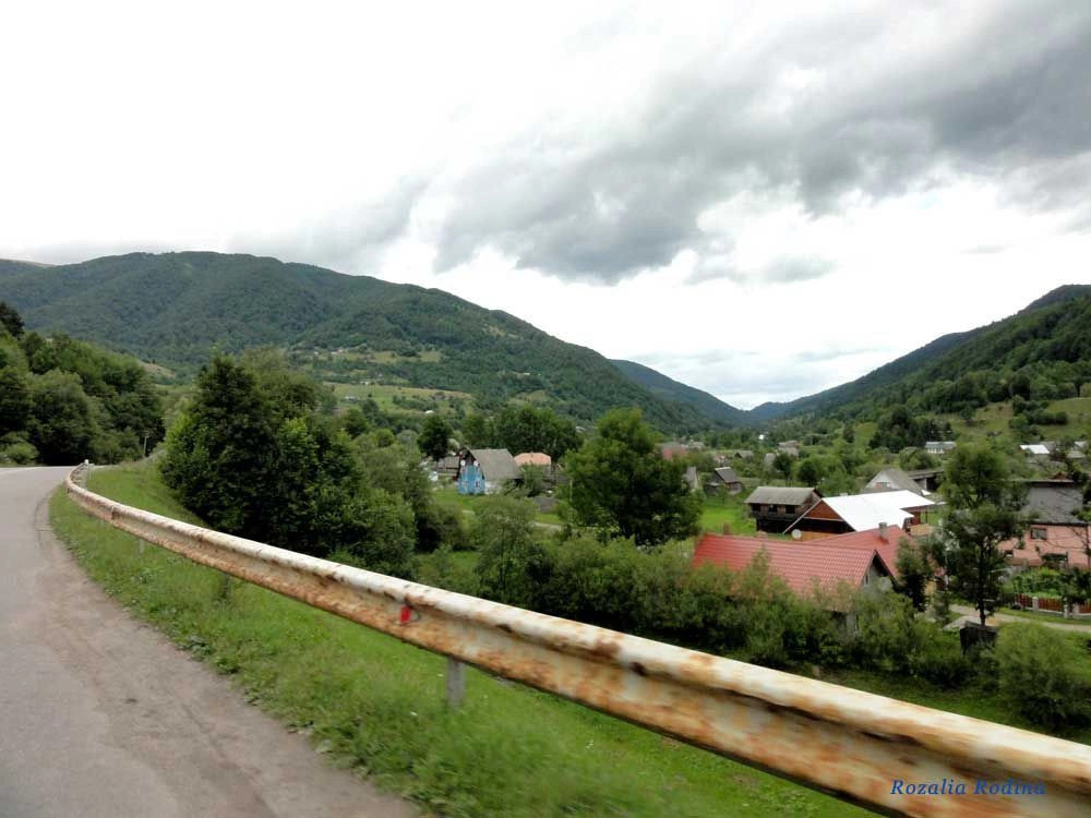 Квасы