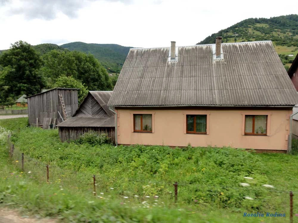 Квасы
