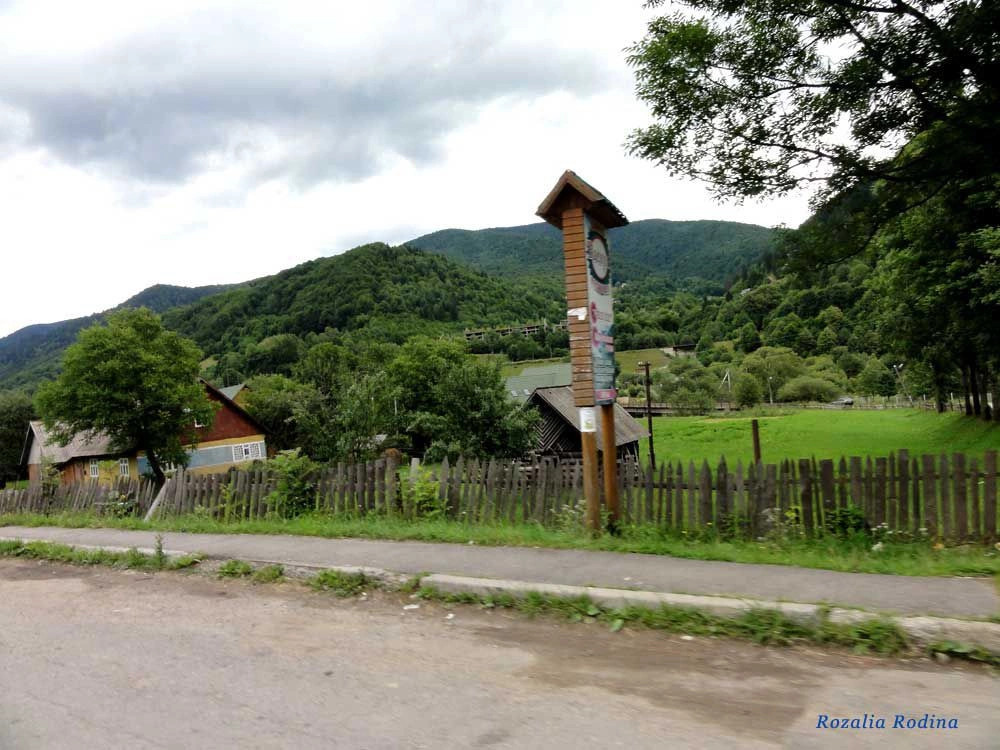 Квасы