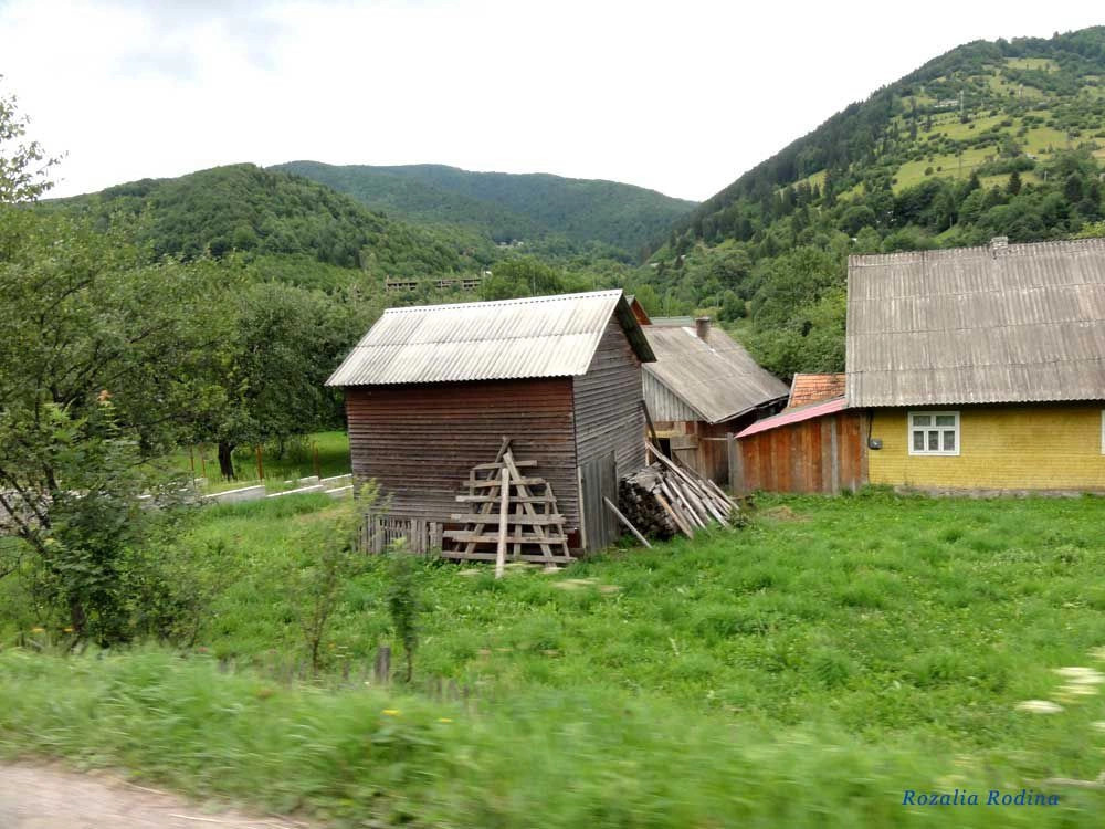Квасы