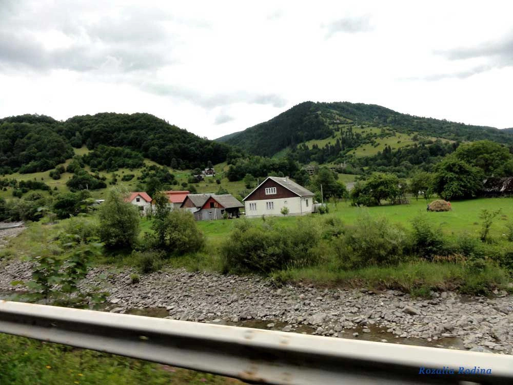 Квасы
