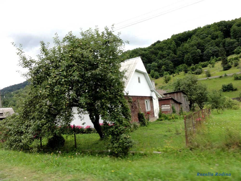 Квасы