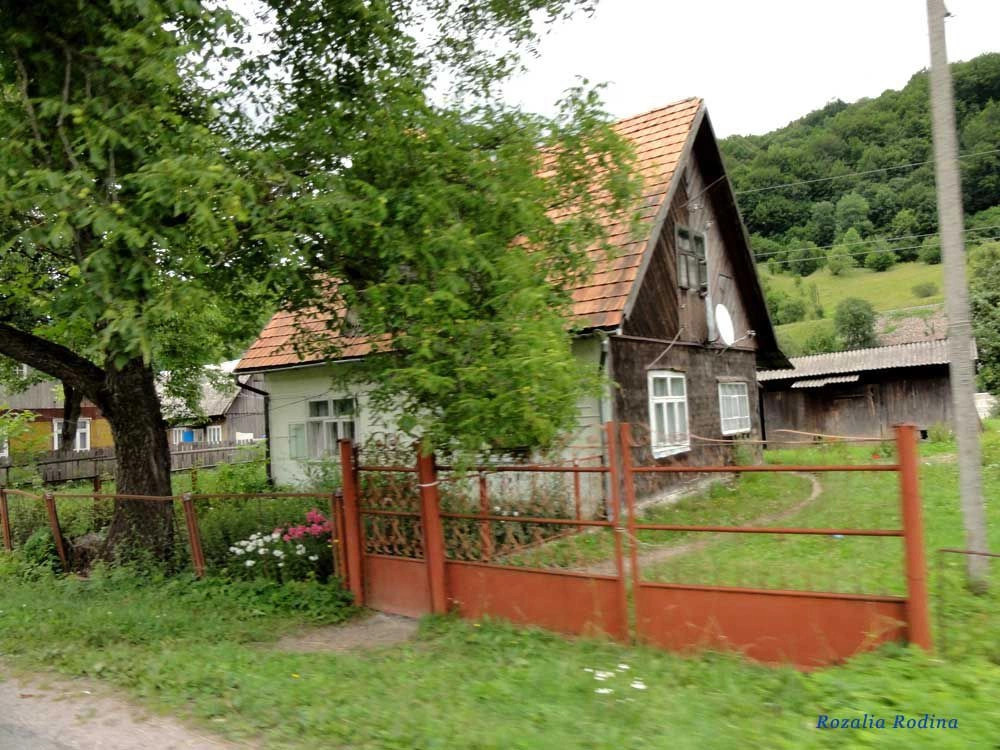 Квасы