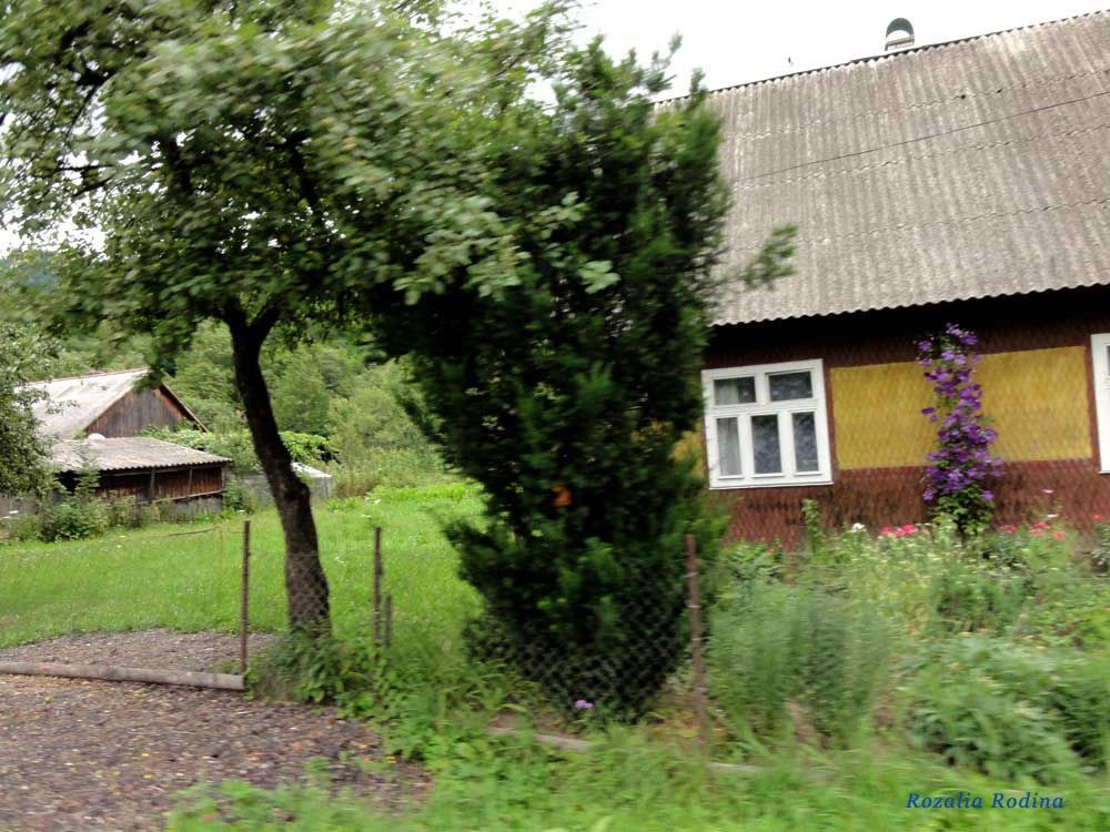 Квасы