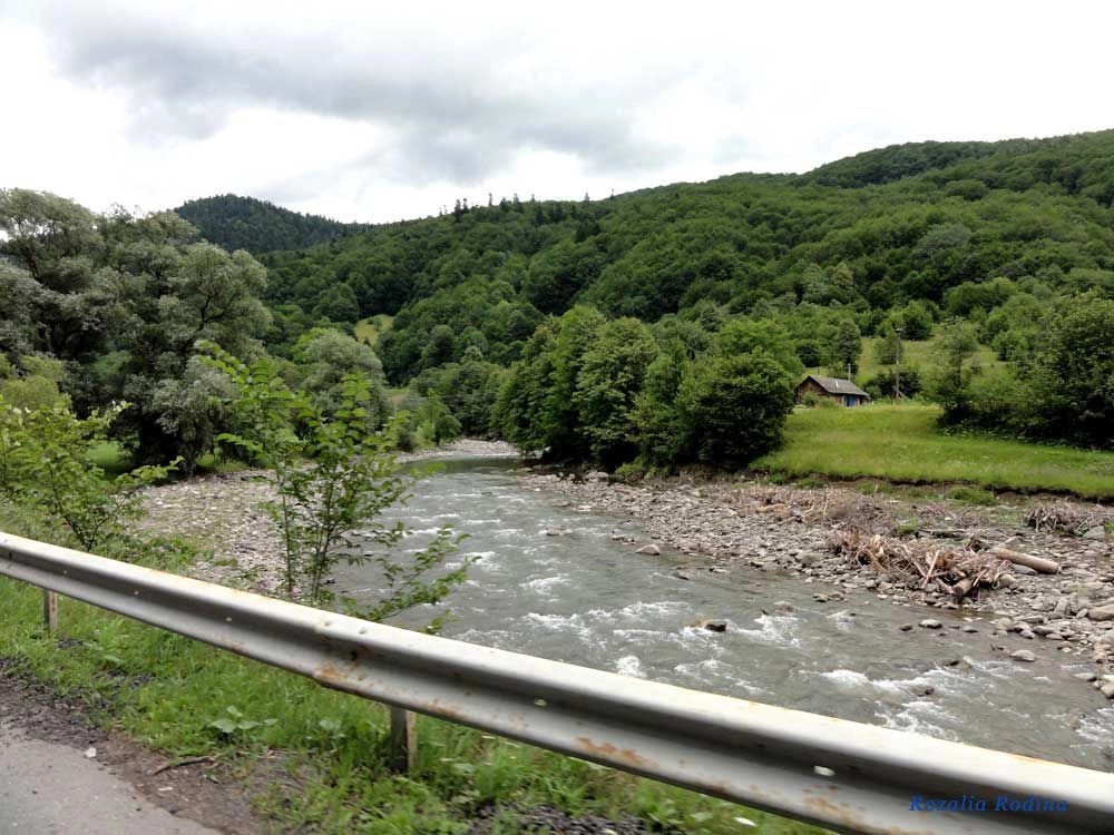 Квасы