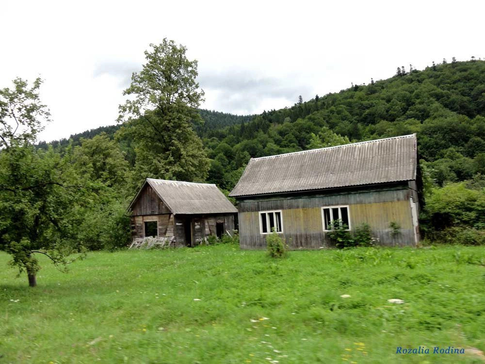 Квасы