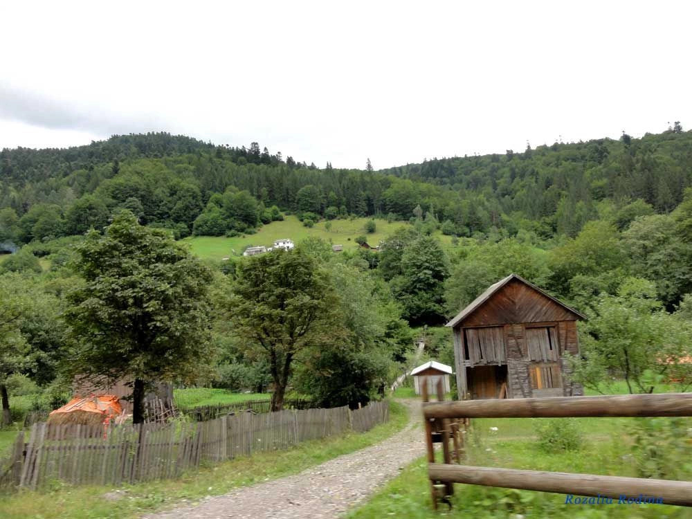 Квасы
