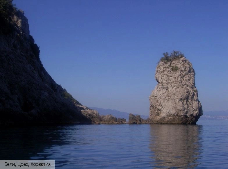 Бели