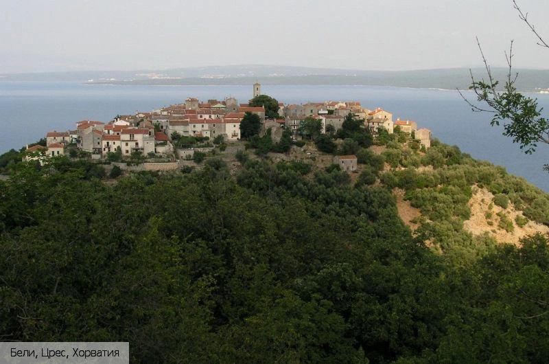 Бели