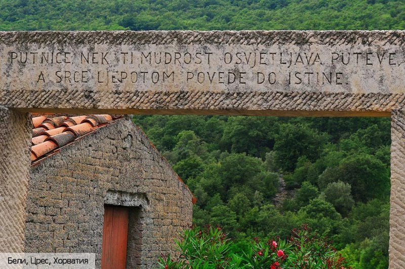 Бели