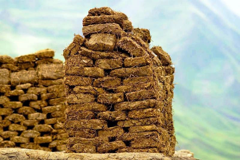 Кубинский район
