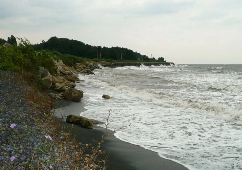 Ленкоранский район