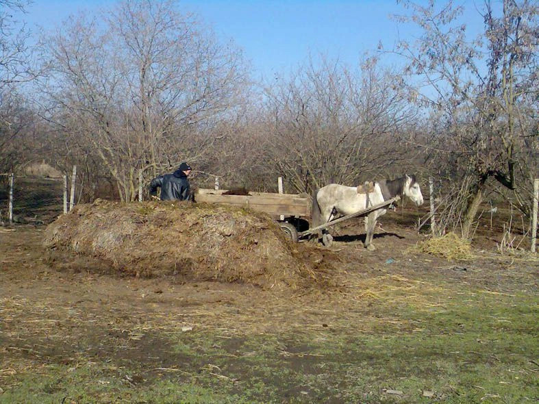 Харахоба