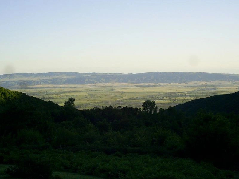 Зунуд