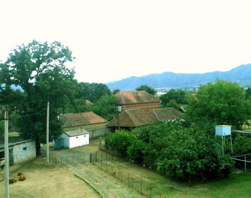 Мишкамы
