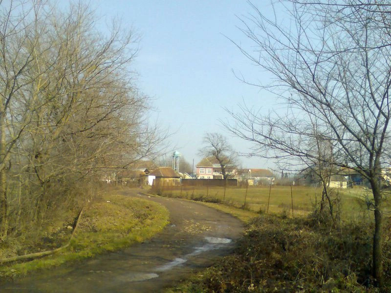Масаллинский район