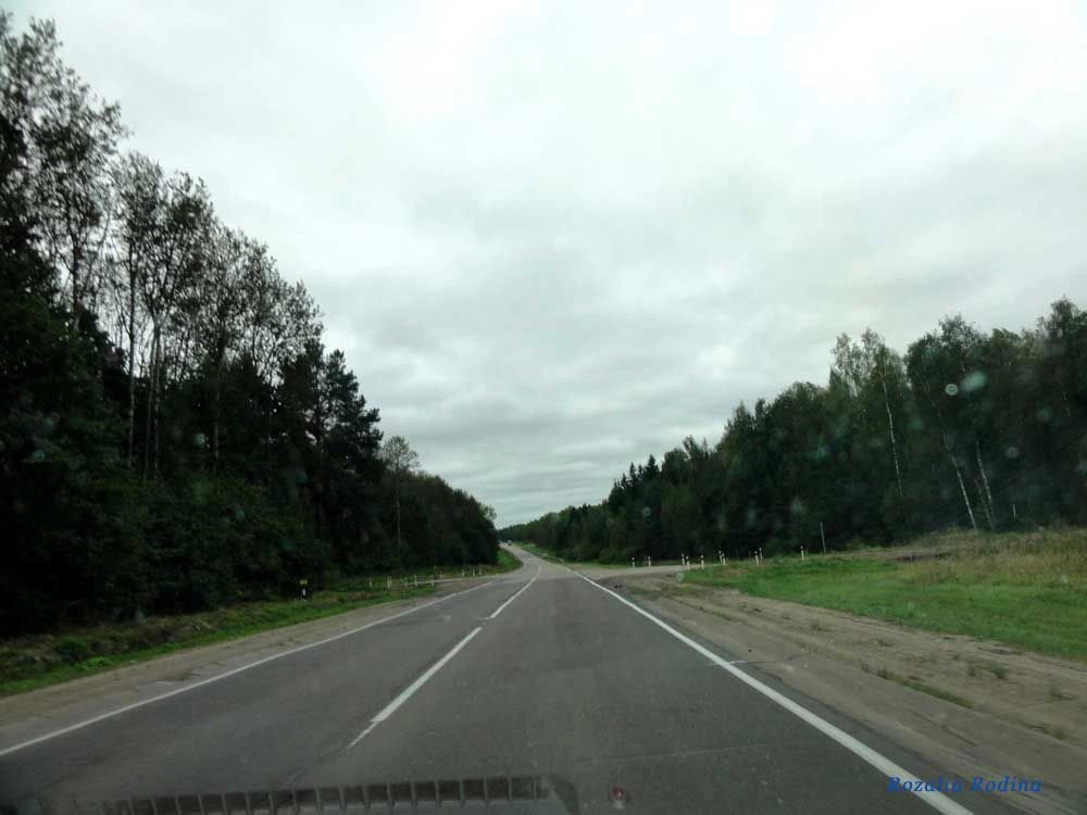Думиничский район