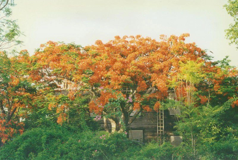 Флорида