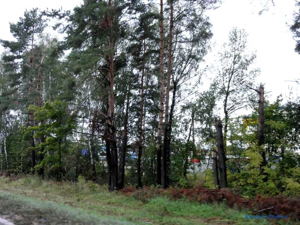 Доброе деревня (Малоярославецкий р-н)