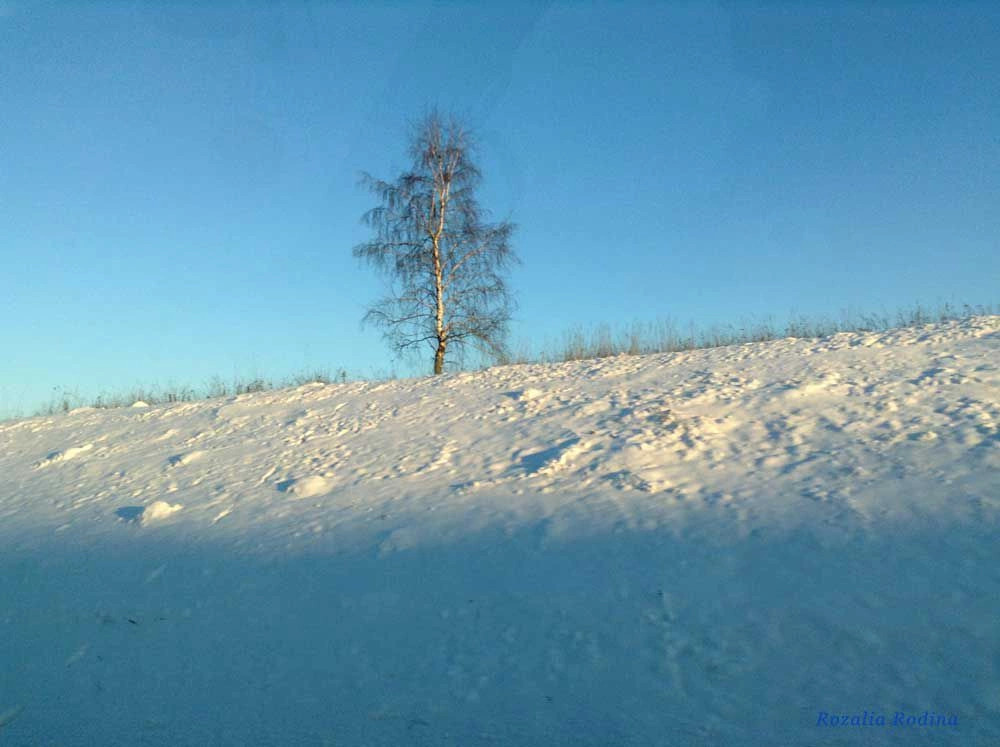 Головино деревня (Мещовский р-н)