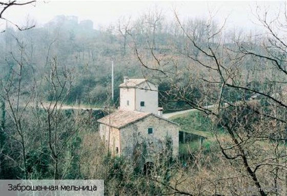 Канепа