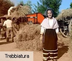 Фаэтано
