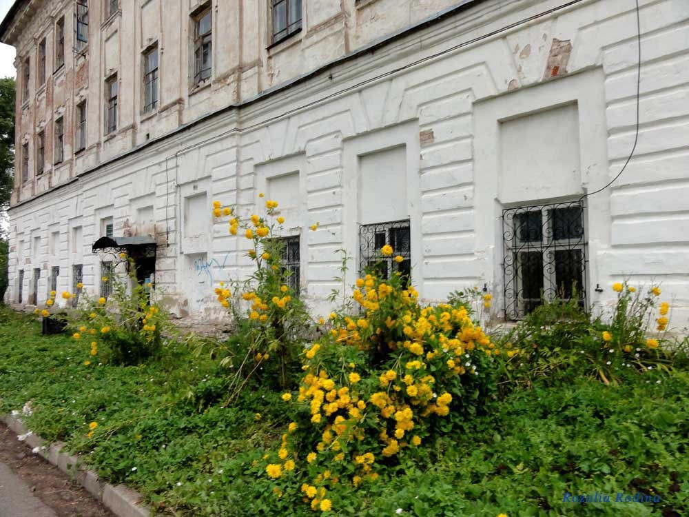 Кострома город