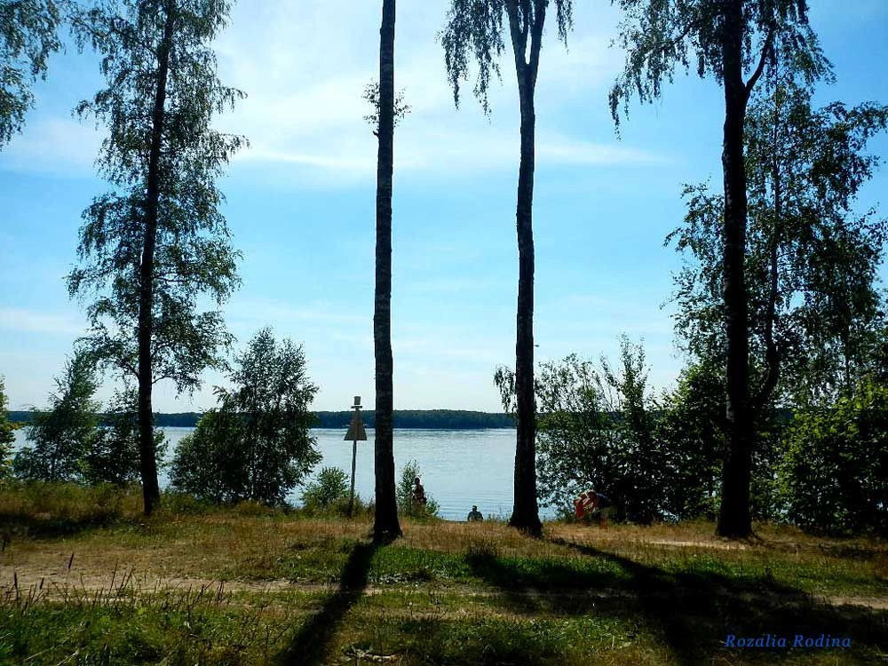 Мытищинский район