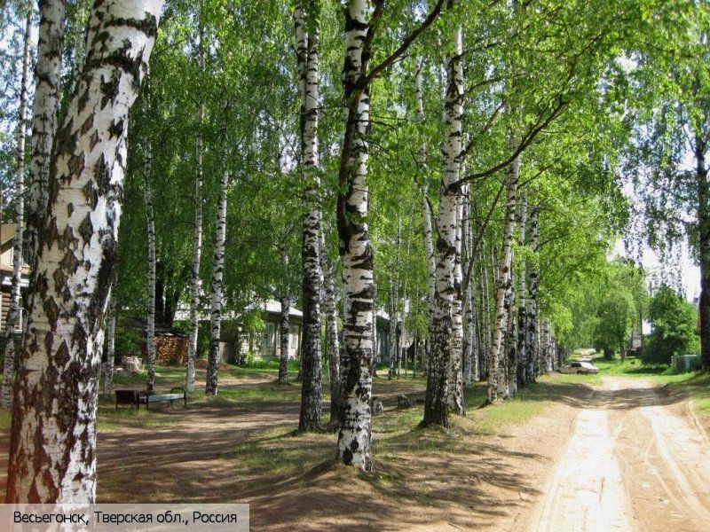 Весьегонский район