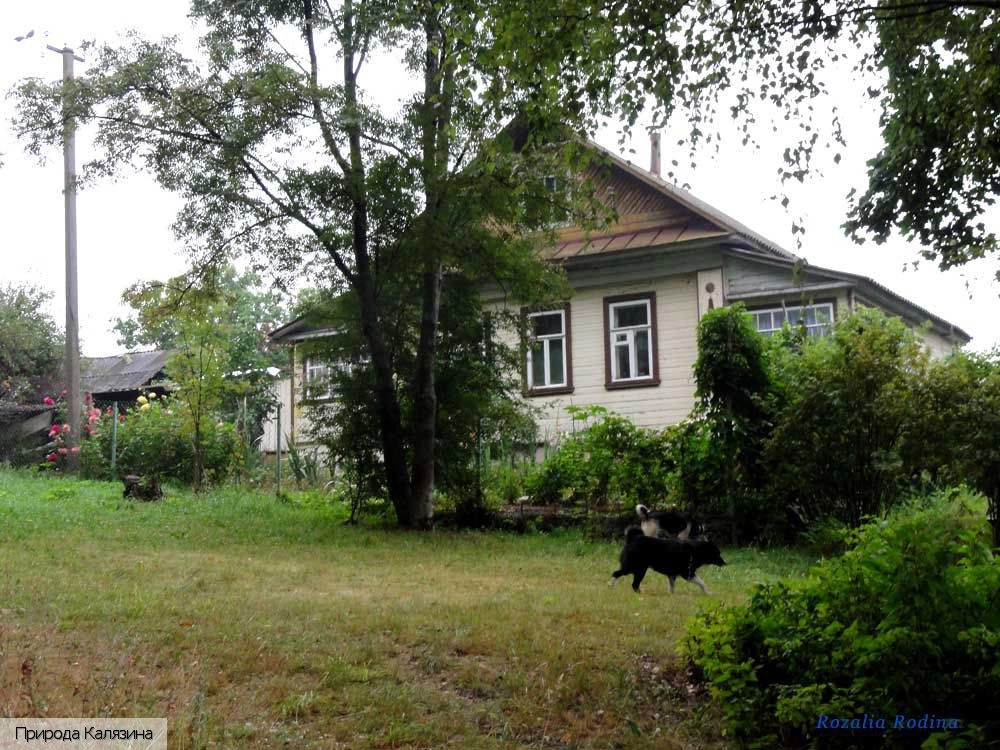Калязинский район