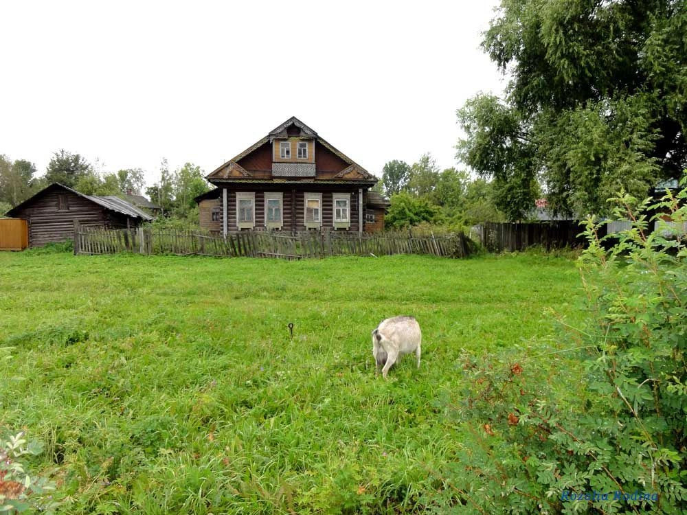 Тутаев