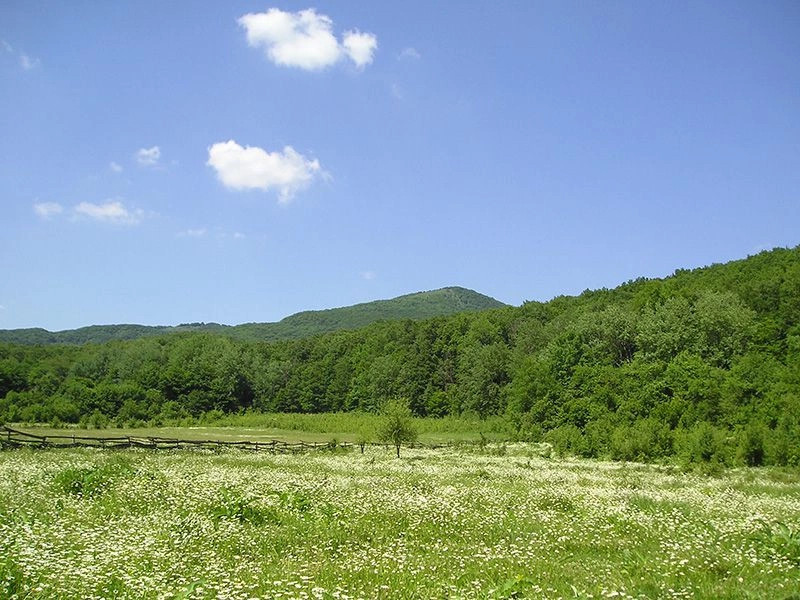 Геленджик