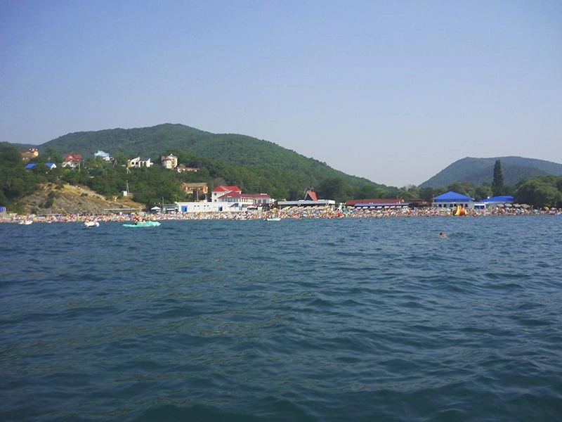 Бетта