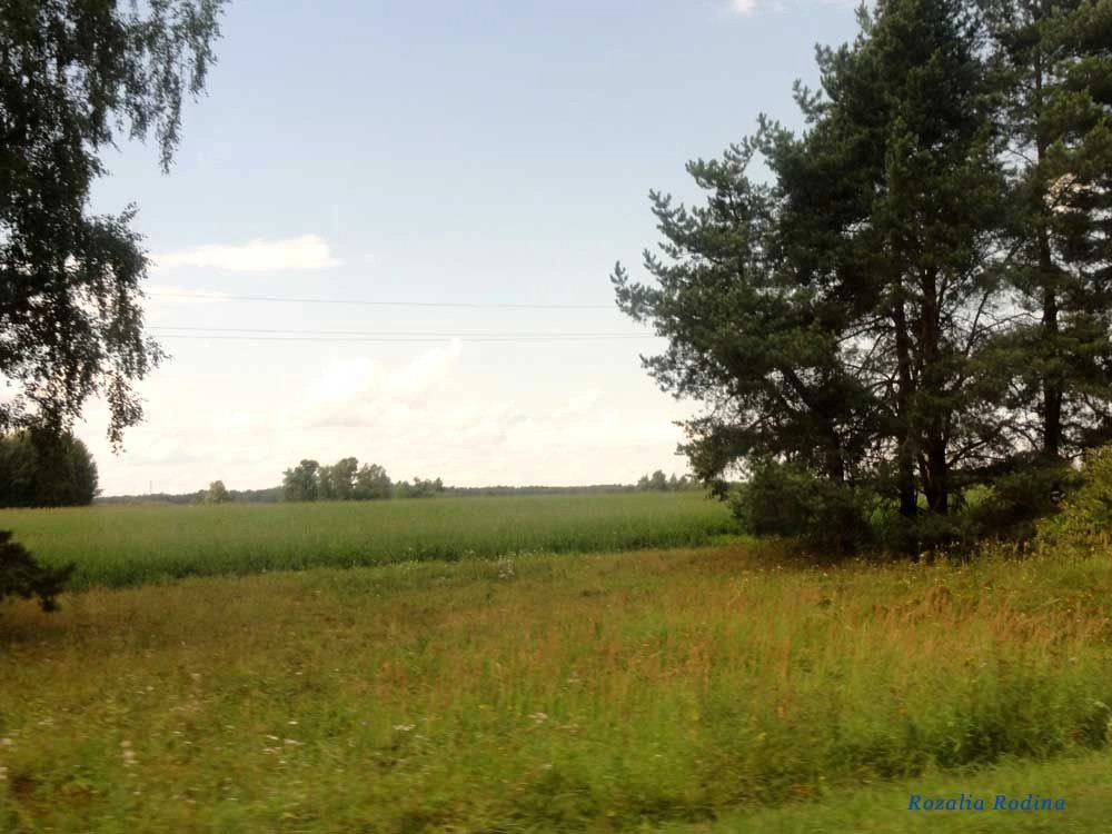 Пестово деревня (Городецкий р-н)