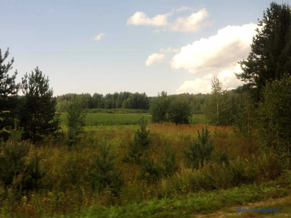 Пестово деревня (Городецкий р-н)
