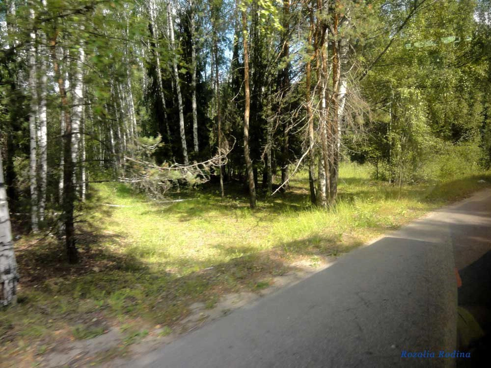 Белоглазово деревня (Городецкий р-н)
