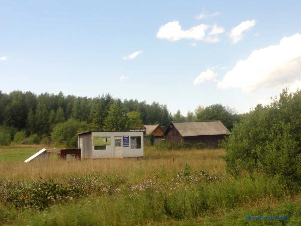 Нижегородская область