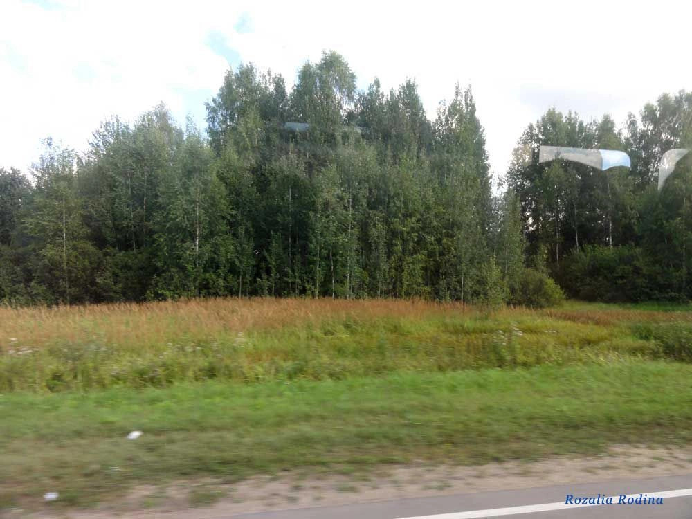 Романово деревня (Городецкий р-н)