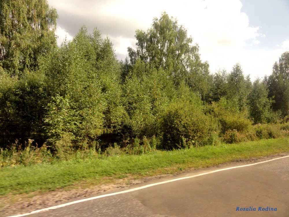 Повалихино деревня (Городецкий р-н)