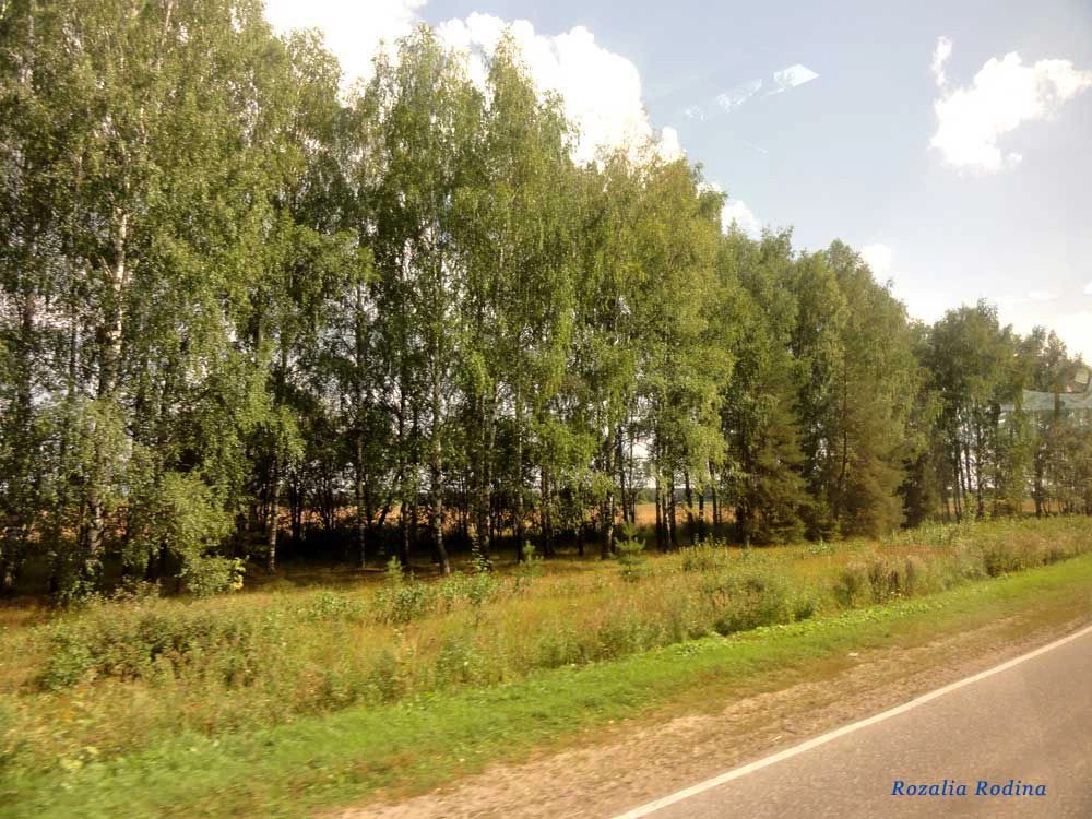 Повалихино деревня (Городецкий р-н)