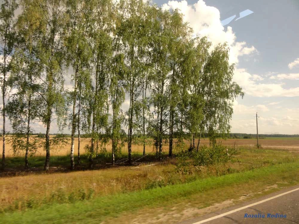 Повалихино деревня (Городецкий р-н)