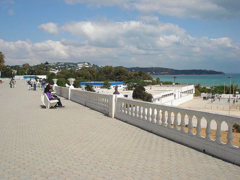 Тунис (вилайет)