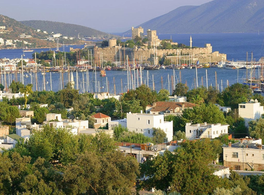 Ортаджа (город)