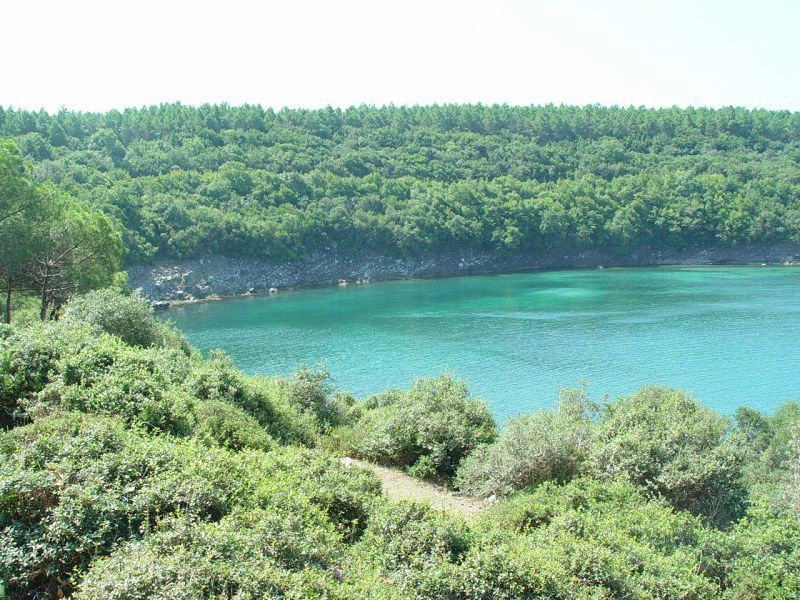 Синоп
