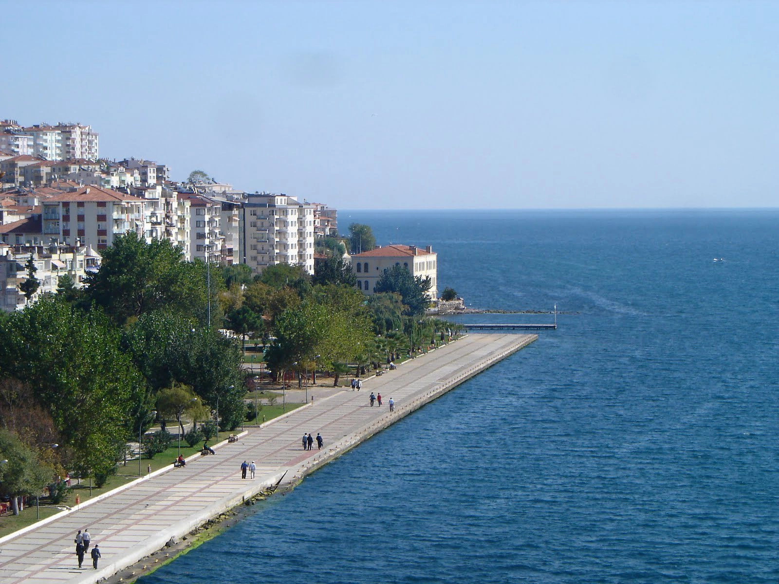 Синоп