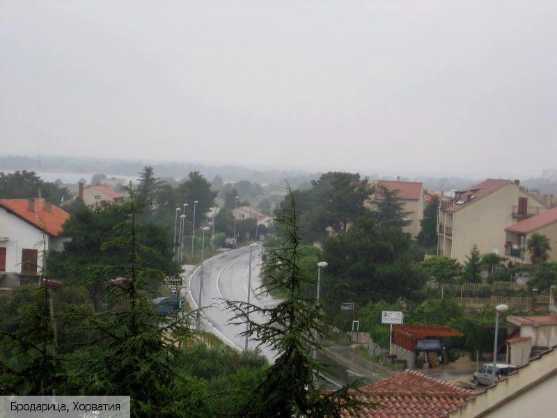 Бродарица