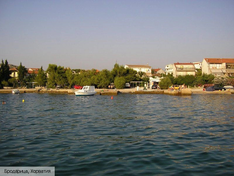 Бродарица