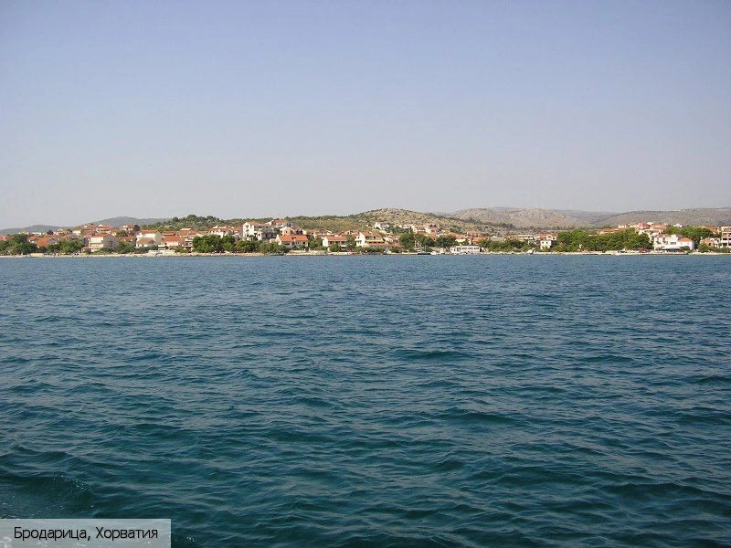 Бродарица